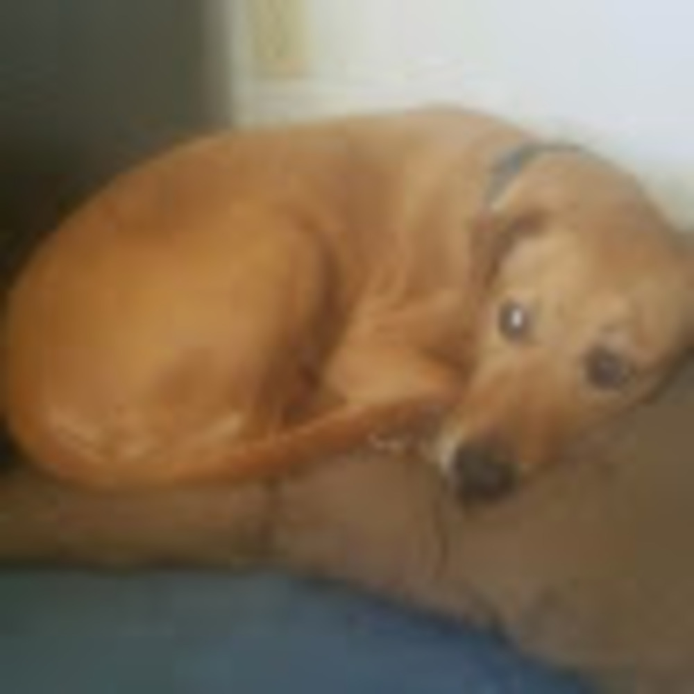 Meet your Posher, Delanie